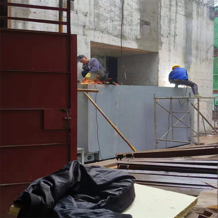 亳州聊城阳谷铅门生产厂家:高强度铅门的应用